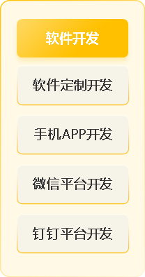 软件开发